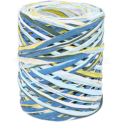 6 цвет шнуров из рафиевой бумаги OCOR-WH0063-110C