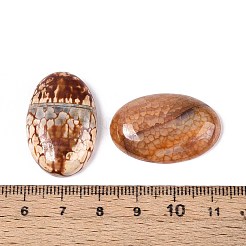 Окрашенные естественные кагашоны с агатом огня&nbsp;X-G-Q957-02B-20x30