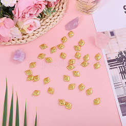 60шт латунные подвески&nbsp;KK-CA0002-86G