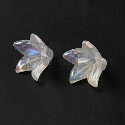 Прозрачные колпачки акриловая бисера&nbsp;OACR-H016-03