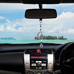 6 шт. 6 стиля луна флакон духов урна пепел тибетский стиль подвеска из сплава украшения&nbsp;HJEW-AB00227