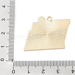 Подвески из спортивного сплава с эмалью&nbsp;ENAM-I074-01G-17