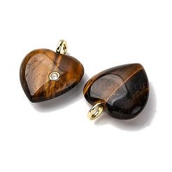 Природных тигровый глаз подвески&nbsp;G-P588-01G-06