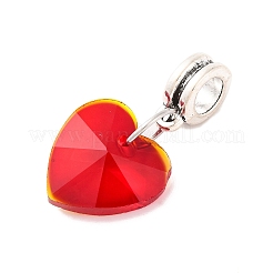 Европейские подвески из сплава с большими отверстиями&nbsp;PALLOY-JF00041-05