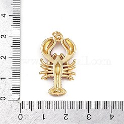 Латунные подвески с красной эмалью&nbsp;KK-C116-03A-G