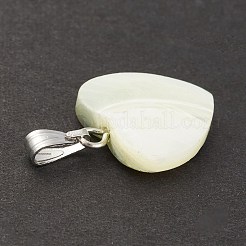 Натуральная ракушка трохида / подвески из ракушки трохуса&nbsp;SSHEL-K027-09