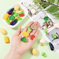 30шт 10 стиля подвески из смолы&nbsp;RESI-YW0004-20