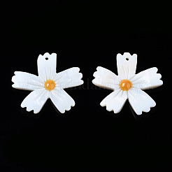 Природные подвески оболочки пресноводных&nbsp;SHEL-N003-18