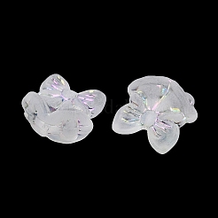 Матовые прозрачные акриловые бусины&nbsp;X1-OACR-P029-18B-05