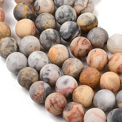 Натуральные сумасшедшие кружевные агатовые бусины&nbsp;G-Q462-10mm-12