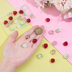 30шт 3 стиля ручной работы бусины лэмпворк&nbsp;LAMP-PH0001-46