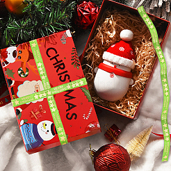 Полиэфирная лента&nbsp;SRIB-P018-B01