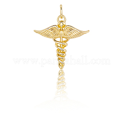 12шт латунные подвески&nbsp;KK-BBC0019-76