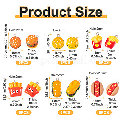 30шт 6 стиля непрозрачные подвески из смолы&nbsp;RESI-TA0004-05