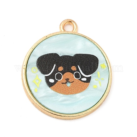 Подвески из сплава &nbsp;FIND-C037-15G-02-1