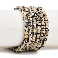 Природные яшмы далматин бисер нитей&nbsp;G-G345-C14-2x4mm