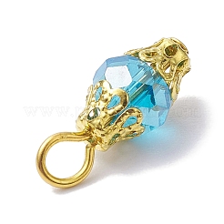 Подвески гальванизируйте стекла&nbsp;PALLOY-JF02642-02