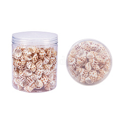 Спиральные подвески оболочки&nbsp;SSHEL-PH0001-03