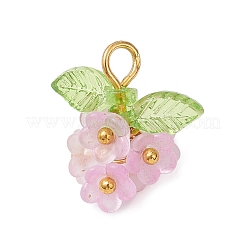 Прозрачные акриловые подвески&nbsp;PALLOY-JF04669