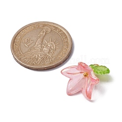 6шт прозрачные акриловые подвески&nbsp;PALLOY-JF02300-01