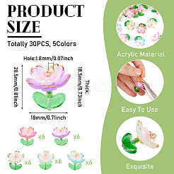 30шт 5 цвета прозрачные акриловые подвески&nbsp;PALLOY-TA00303