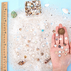 Подвески из натуральной оболочки&nbsp;BSHE-BBC0001-05A-03