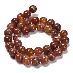 Натуральные полосатые агатовые / полосатые агатовые бусинки&nbsp;G-B079-A05-03B