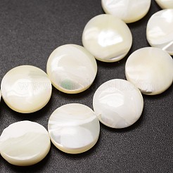 Нити бусин из натуральных трохоидных/трохус ракушек SSHEL-K016-03B