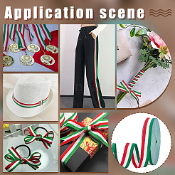 Тесьма из полиэстера&nbsp;OCOR-WH0816-012A-1