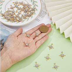 Подвески со стразами из сплава 40 шт.&nbsp;FIND-FH0008-27