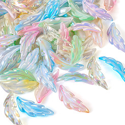 60шт 6 цвета прозрачные акриловые подвески&nbsp;TACR-TA0001-29