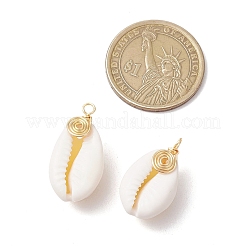 Подвески из натуральной каури&nbsp;PALLOY-JF03316-05