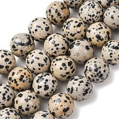 Природные яшмы далматин бисер нитей&nbsp;G-A310-A05-14mm