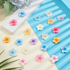 96шт 12 цвета прозрачные кабошоны из смолы&nbsp;CRES-ME0001-03