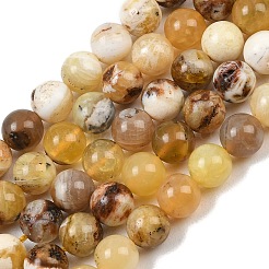 Природные желтые опал бусины пряди&nbsp;G-G992-A02-A