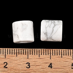 Бусины из природных Говлит&nbsp;G-I395-B04