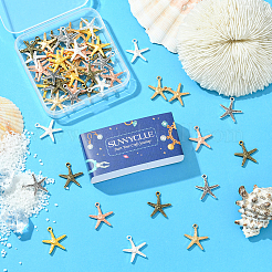 60 шт. 6 цвета подвески из сплава в тибетском стиле&nbsp;FIND-SC0016-86