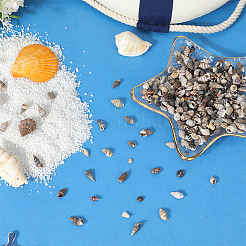 150 г 5 вида натуральных смешанных ракушечных бусин&nbsp;SSHEL-SC0001-50