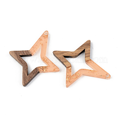 Подвески из прозрачной смолы и ореха&nbsp;RESI-S389-020A-B