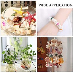 Бусины из ракушек&nbsp;BSHE-PH0003-15