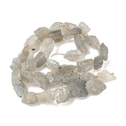 Необработанные необработанные натуральные лабрадоритные бусины&nbsp;LS-G-M453-D14