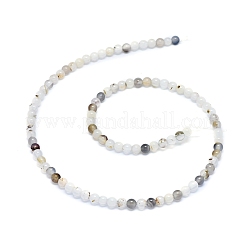 Нити из натурального дендритного агата&nbsp;G-D0005-18-4mm