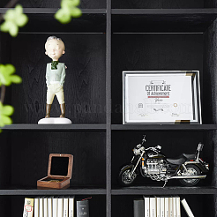 Деревянная шкатулка для хранения медалей для монет&nbsp;AJEW-WH0009-68A