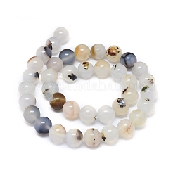 Нити из натурального дендритного агата&nbsp;G-D0005-18-10mm