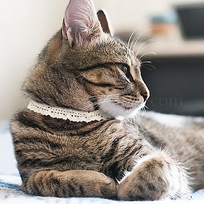 10 ярд хлопчатобумажной кружевной отделки&nbsp;OCOR-GO0001-26-1