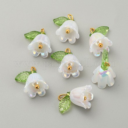 Подвески из непрозрачной смолы CRES-CJC0009-05G-09-1