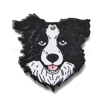 Печатные акриловые подвески OACR-P033-01C-1