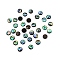 Paua Shell Cabochons, Half Round, 10x2mm
