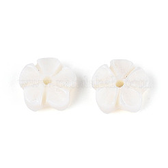 Резные бусины из натуральных пресноводных ракушек&nbsp;SHEL-N038-36