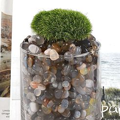 Окрашенные и нагретые натуральные бусины из агата&nbsp;X1-G-J402-04B-04